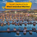 مارينا إسطنبول الغربيةWest Istanbul Marina
