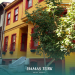 Neighborhood Guide: Istanbul Apartment Prices by Area