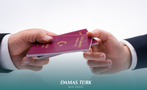 أنواع الجنسية الاستثنائية التركية