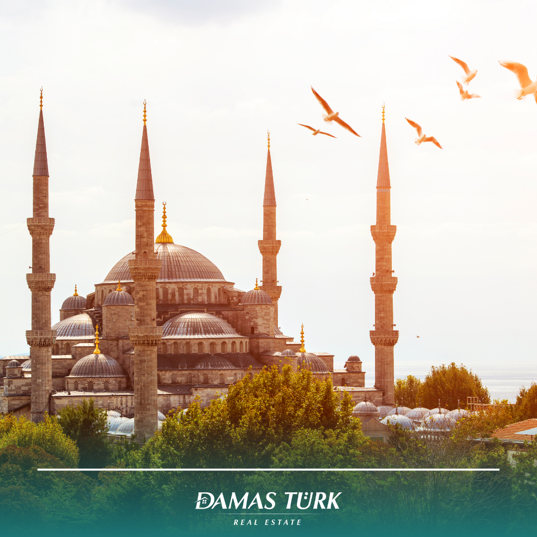 Spring Arrives in Türkiye: Gradual Temperature Rise Signals Start of Investment Season