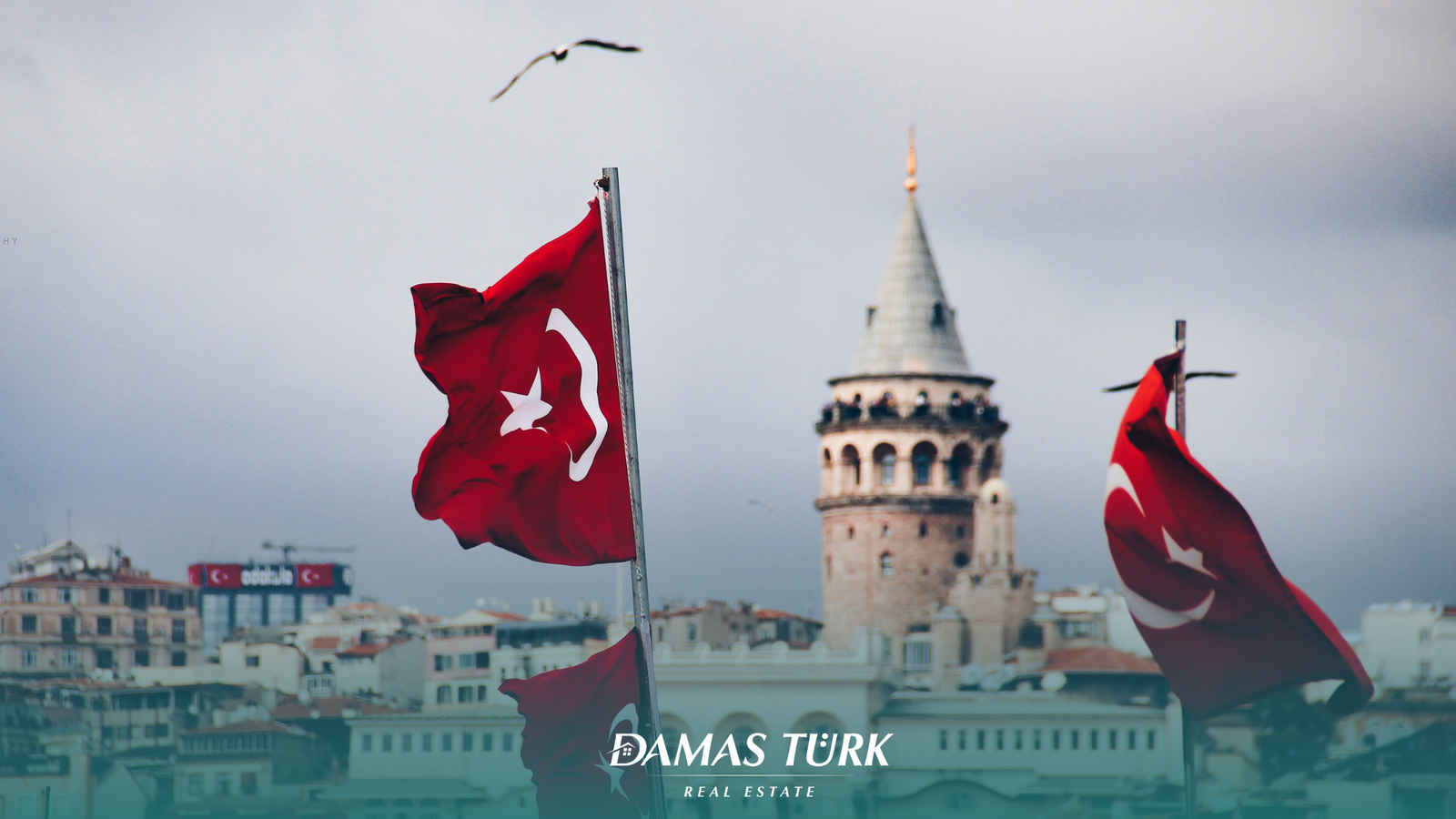 What is turkey?